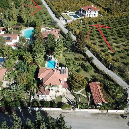 Kiparis Dalyan